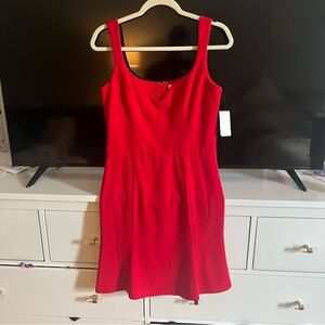 Dress the Population Red Fit and Flare Mini Dress